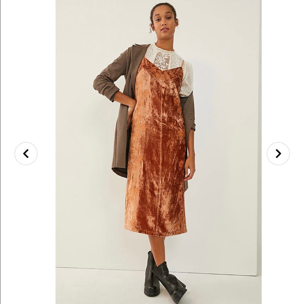 Never Worn Anthropologie Lucie Embroidered Velvet Slip Dress